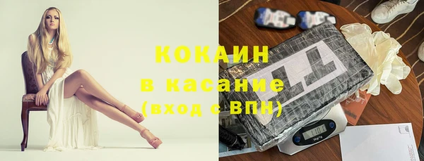 стаф Ладушкин