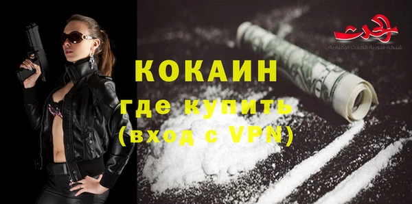 стаф Ладушкин