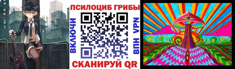 Купить где  Сердобск  Псилоцибиновые грибы GOLDEN TEACHER 
